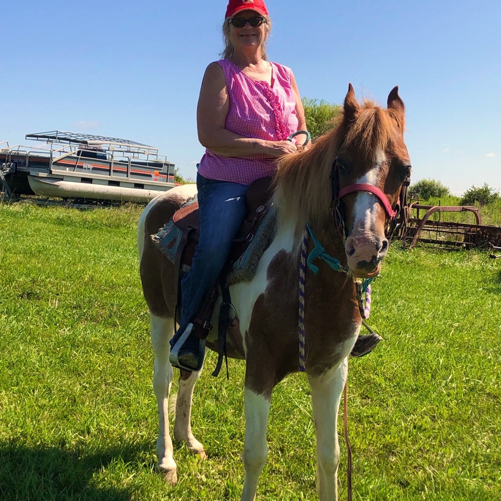 My horse